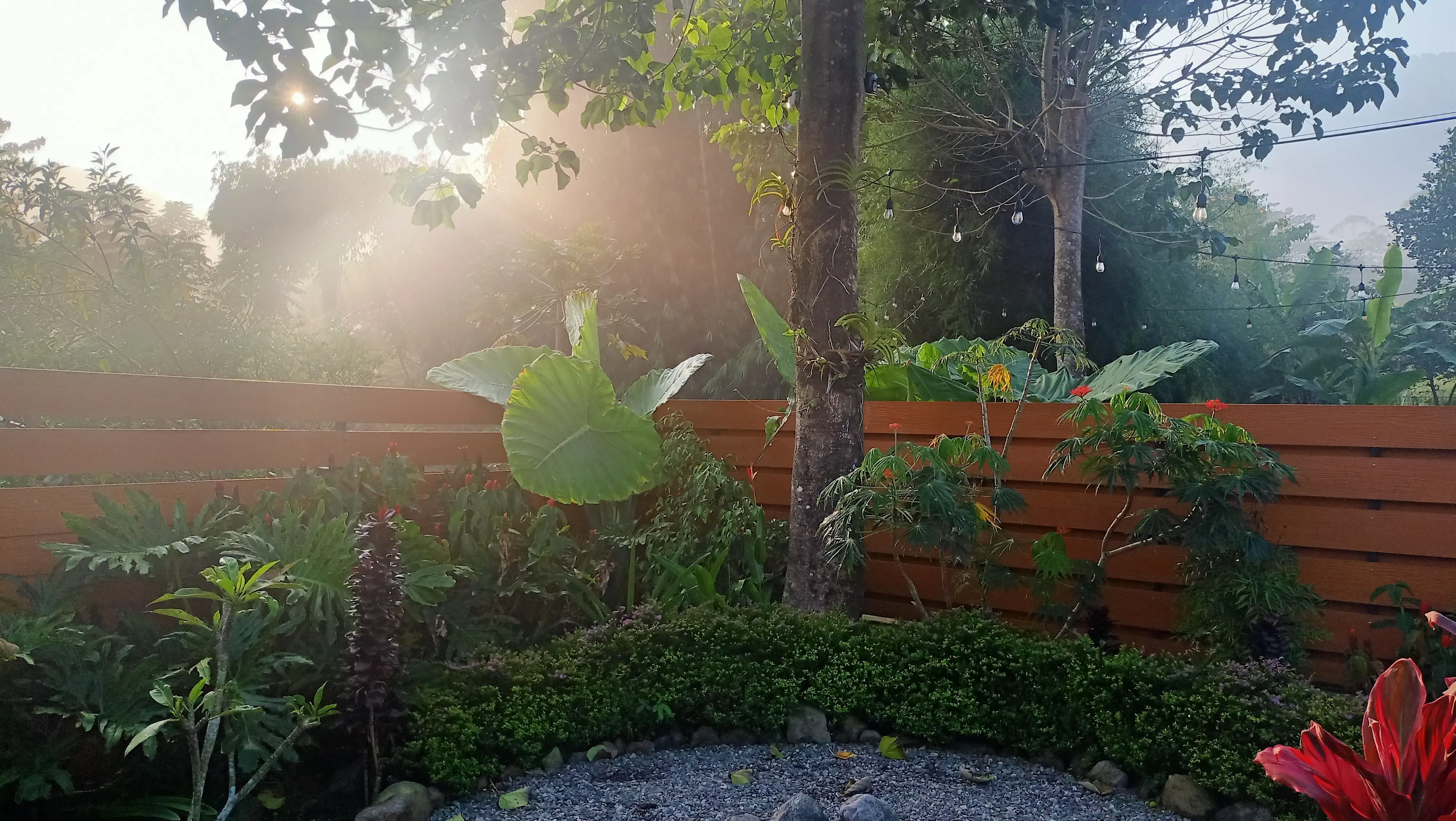 Taman hijau dan suasana alam Anteng Villa di Bandung